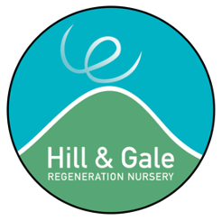 Hill & Gale Nursery